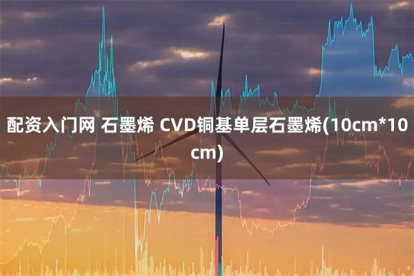 配资入门网 石墨烯 CVD铜基单层石墨烯(10cm*10cm)
