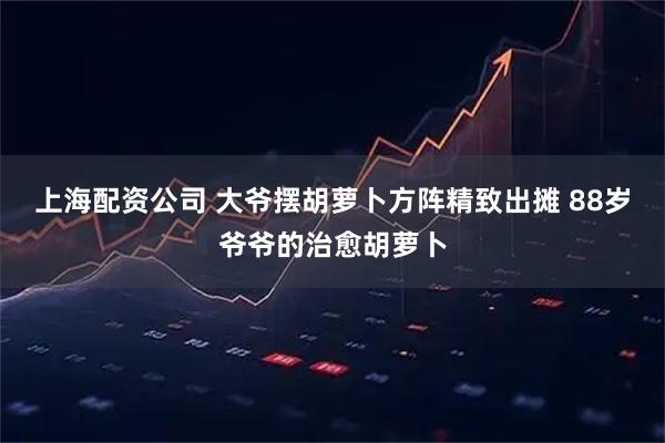上海配资公司 大爷摆胡萝卜方阵精致出摊 88岁爷爷的治愈胡萝卜